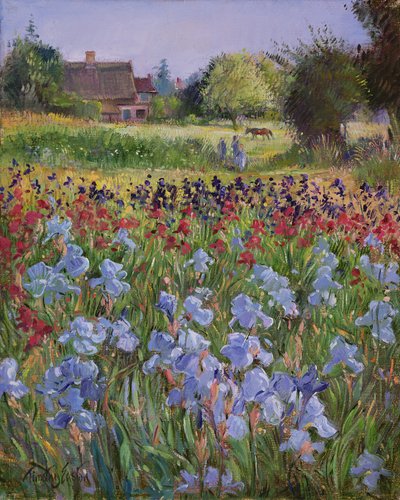 Entrance to Burgate Green by Timothy Easton